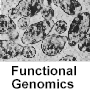 functional genomics