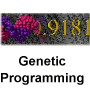genetic programming