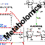 metabolomics
